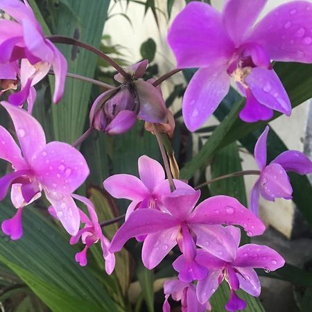 Homestay Vuon Nhan Pleiku Εξωτερικό φωτογραφία