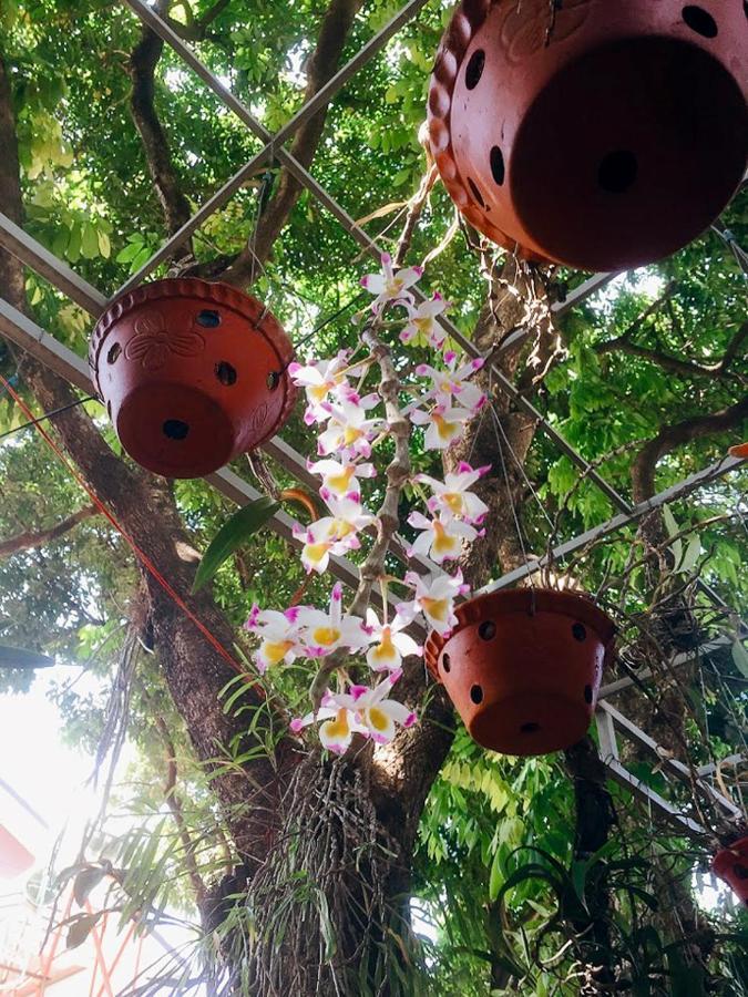 Homestay Vuon Nhan Pleiku Εξωτερικό φωτογραφία